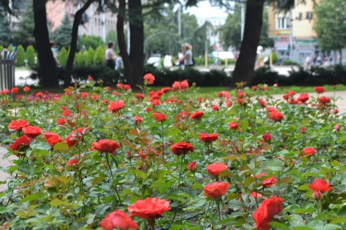 По-икономично слънце днес, ще вали дъжд в Южна България
