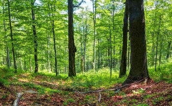 Слънцето ще ни топли по-силно от вчера, усмихнете се