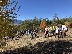 Горски и доброволци залесиха 1000 медоносни фиданки край Добринище