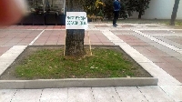 Благоевградчани протестираха мирно и кротко срещу мръсния въздух