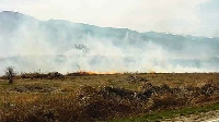 Забраниха палене на сухи треви  и стърнища в Сатовча