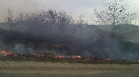 1000 дка стърнища изгоряха в Петричко, пожарът е овладян