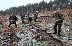 Служители на ЮЗДП залесиха 4 декара в изсъхнала гора край Дупница