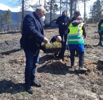 Залесиха 5000 дка опожарени гори в района на Кресна и Симитли