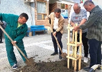 Засадиха 60 дръвчета в Санданско по инициатива на депутата Стоян Стоев