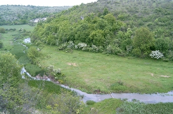 Фермер от Петрич завзе всички пасища в село Старчево