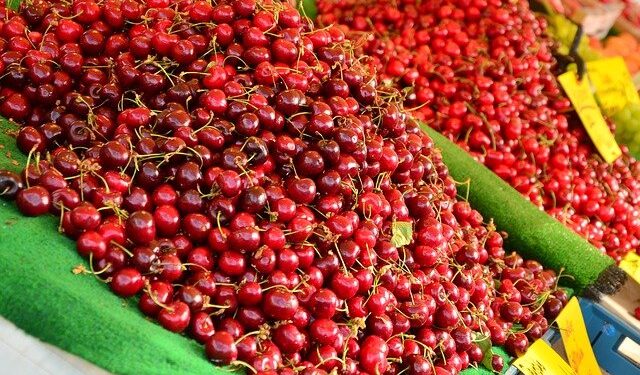 Снимка: pixabay.com
