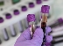 Имунолог: Наесен ще се наложи трета доза ваксина срещу коронавирус