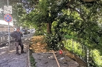 Започна изграждането на предпазен парапет край река Бистрица в Благоевград