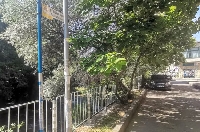 Започна изграждането на предпазен парапет край река Бистрица в Благоевград