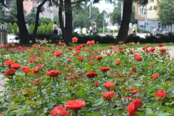 Опасна жега ни дебне днес, не излизайте, ако не се налага