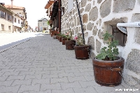 Община Банско раздава цветя за по-зелен и по-цветен град