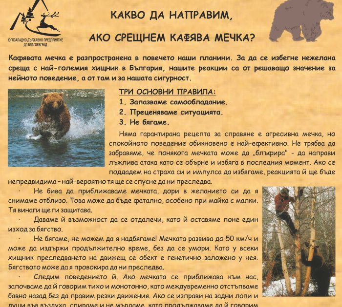 Снимка: ЮЗДП
