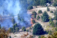 Огненият ад край село Петрово взе две жертви – служители на ЮЗДП