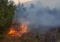 Горски и огнеборци потушиха бързо пожар край Банско