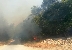 Три пожара гасиха край Катунци и Калиманци огнеборци, горски и доброволци