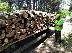 Дъждовете бавят добива на дърва за огрев в Подгорието