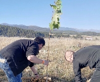 Доброволци от София засадиха 10 тополи в Бетоловото край Разлог