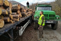 Служители на ЮЗДП заловиха автомобил с незаконни дърва в Тетевен Служители на ЮЗДП заловиха автомобил с незаконни дърва в Тетевен