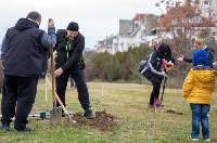 Доброволци засадиха 400 дръвчета – златен дъжд и американски ясен, в  Благоевград