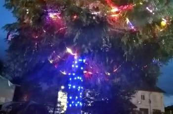Струмяни и Микрево грейнаха в коледни светлини