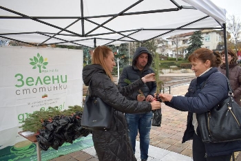Община Сандански със зелена инициатива  Засади дърво за Коледа