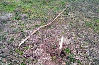 Вандали изпочупиха новозасадени фиданки в село Полето Вандали изпочупиха новозасадени фиданки в село Полето