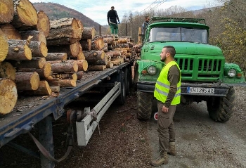 За година ЮЗДП продаде над 1 милион кубика дървесина