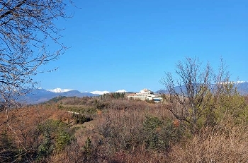 Крадци налазиха любимата резиденция на Тато