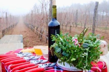 В Петрич избират Цар на виното