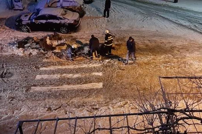 За пореден път: Браво за огнеборците в Благоевград, за 20 минути отстраниха повалено от снега дърво
