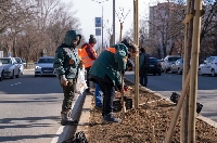 Община Благоевград започва да озеленява паркове и градинки