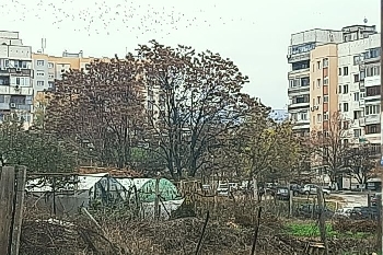 Мрачно време днес – облаци, дъжд и сняг