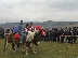 Най-бързите коне се надпреварват на кушията край Крупник