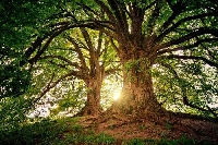 Слънцето е по-смело днес, пролетта наближава Слънцето е по-смело днес, пролетта наближава