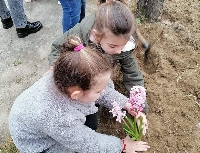 Нови цветни алеи засадиха деца и учители в Струмяни, Микрево и Илинденци