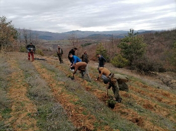 Деца и възрастни залесяваха заедно в Седмицата на гората
