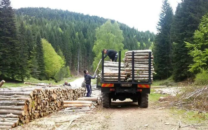 Снимка: ЮЗДП, архив