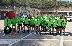 Футболистите на Пирин U14 изпревариха Ювентус и Байерн на турнир в Майорка