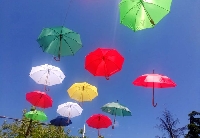 Ах, тези цветни чадъри! Те отново са тук и красят Благоевград