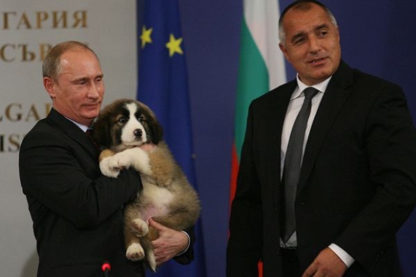 снимка : Юлиана Николова
