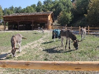 Швейцарци изградиха разкош за магерата край село Баничан