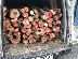 Горски задържаха автомобил с незаконно добита дървесина