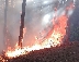 Огнеборци спряха пожар в гората край Ветрен по тъмно