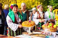Кестените узряха, Брежани стяга празник-преклонение пред даровете на природата Кестените узряха, Брежани стяга празник-преклонение пред даровете на природата