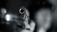 Полицията издирва стрелец, гръмнал куче в Благоевград Полицията издирва стрелец, гръмнал куче в Благоевград