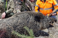 Полицаи спипаха убит глиган в джипа на благоевградчанин
