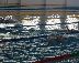 Плувен клуб  Пирин с безплатни занимания по плуване за ученици