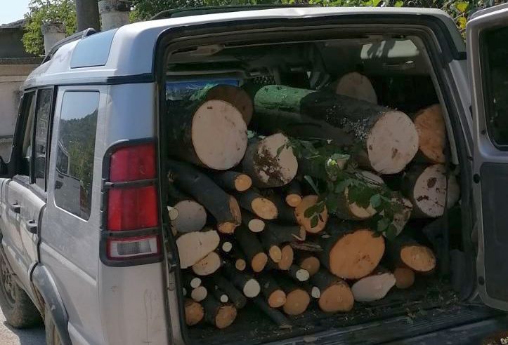 Спипаха кмета на Конарско да вози незаконна дървесина, вкараха Ахмед Ахмед в ареста
