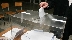 Първи сигнал за изборна търговия: Демчо от махалата в Благоевград снима лични карти